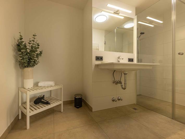 Ganze Wohnung, Tevini Alpine Apartments - Schmittenblick in Zell am See, Pinzgau