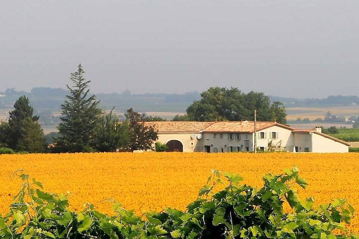 Gîte pour 8 personnes, avec jardin à Léoville