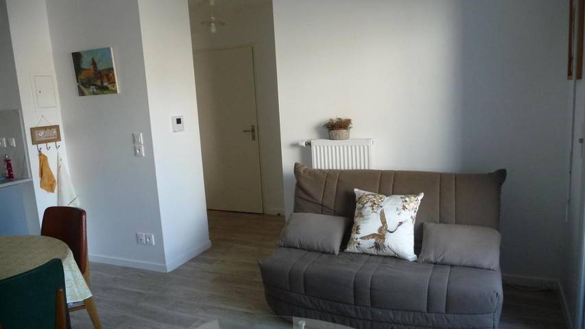 Gîte pour 4 personnes, avec terrasse, animaux acceptés à Saint-Jean-de-Braye - 3