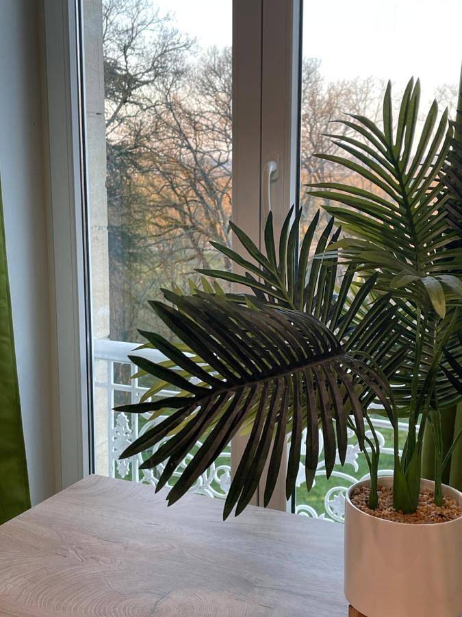 Gîte pour 4 personnes, avec vue et jardin à Layrac - 2