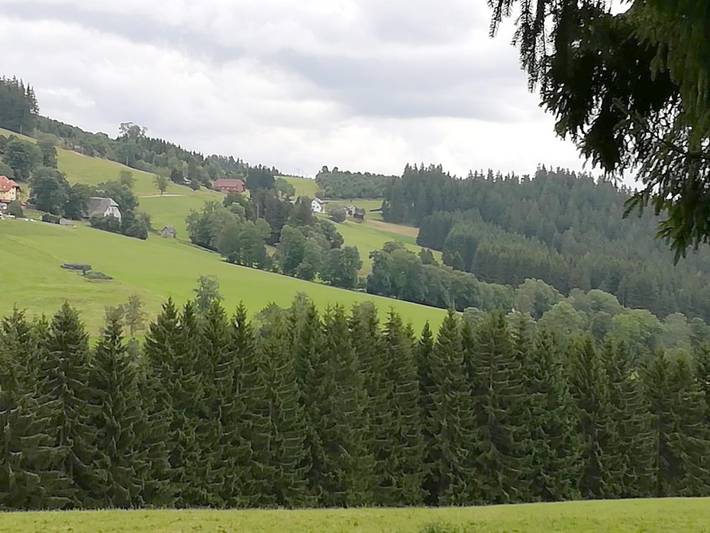 Maison d’hôte pour 2 personnes, avec vue ainsi que jardin et terrasse à Titisee-Neustadt - 3