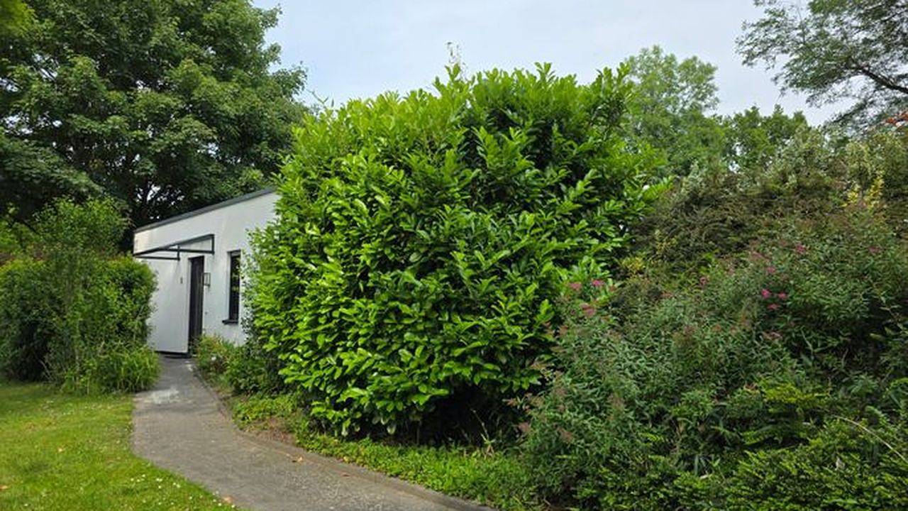 Ganze Ferienwohnung, Ferienwohnung für 2 Personen (50 m²) in Weener in Weener, Emsland