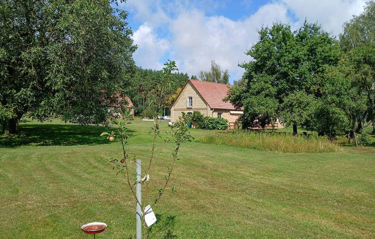 Ferienhaus für 5 Personen, mit Terrasse in Mecklenburgische Seenplatte - 3