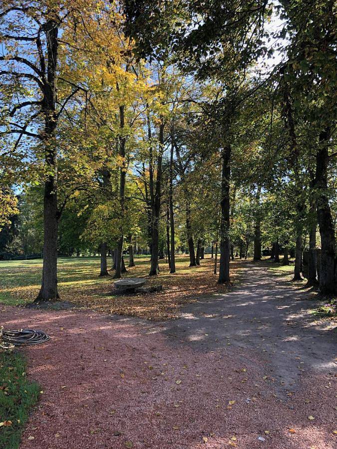 Location de vacances pour 12 personnes, avec piscine ainsi que vue et jardin, animaux acceptés à Charmeil - 4