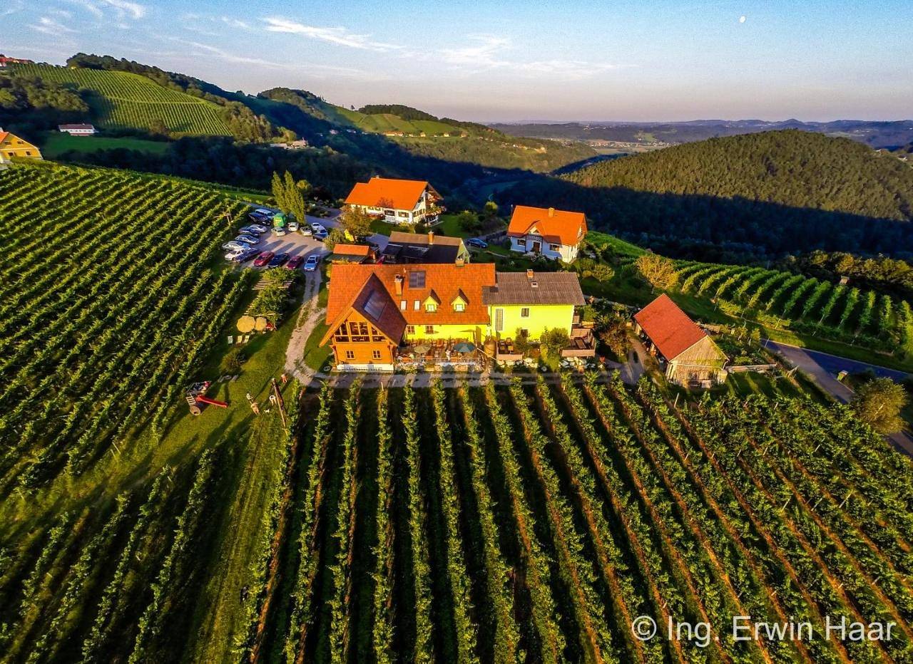 Double Room in Kitzeck im Sausal, Steirerland