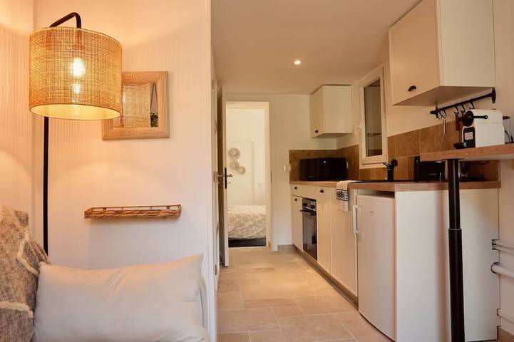 Location de vacances pour 14 personnes, avec piscine et jardin à Tourrette-Levens - 4