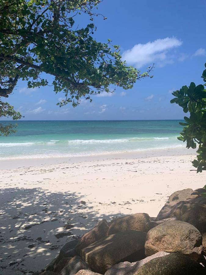 Villa pour 7 personnes, avec vue et jardin, animaux acceptés aux Seychelles - 3