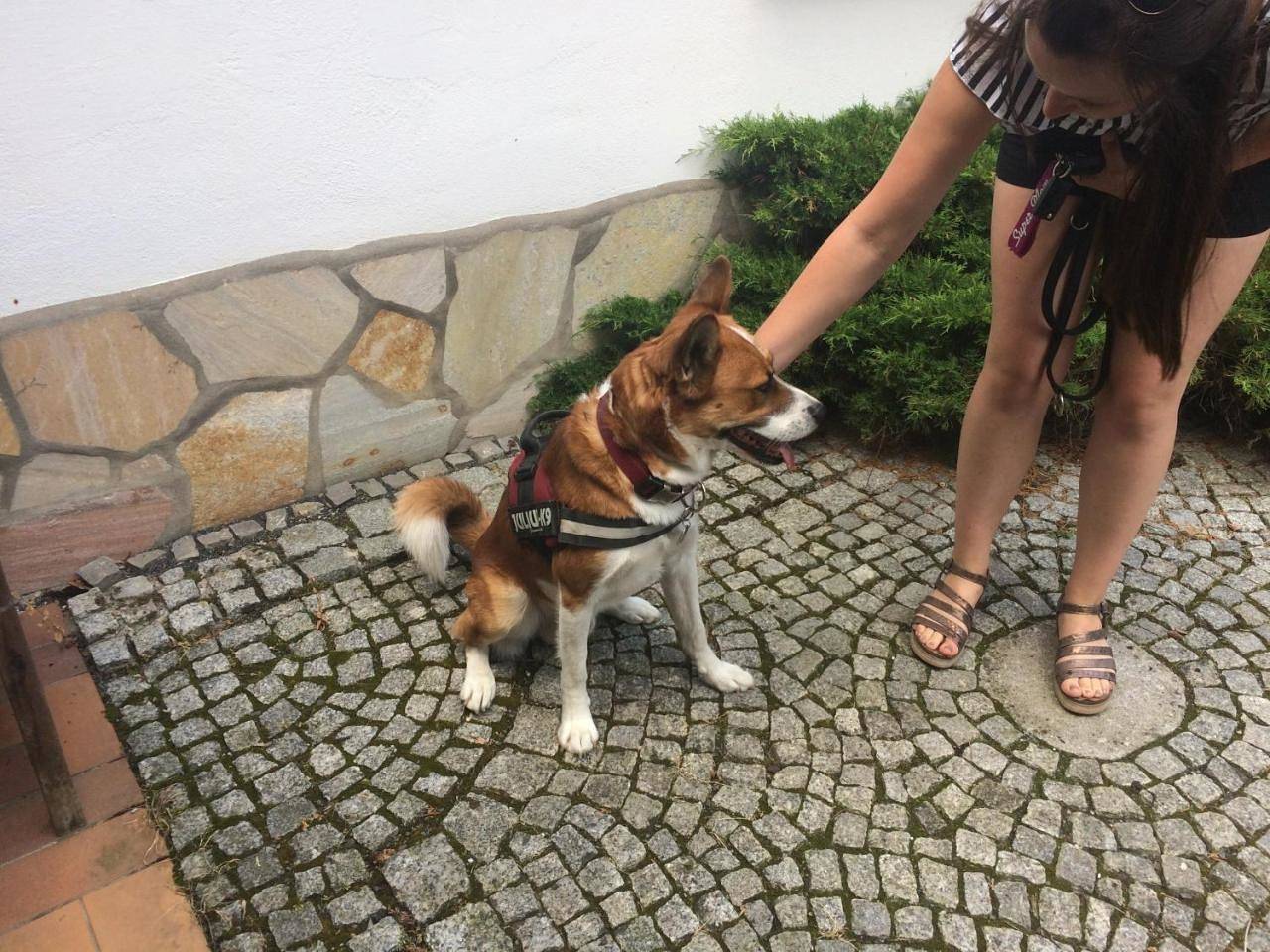 Holiday Home in Quedlinburg, Harzvorland