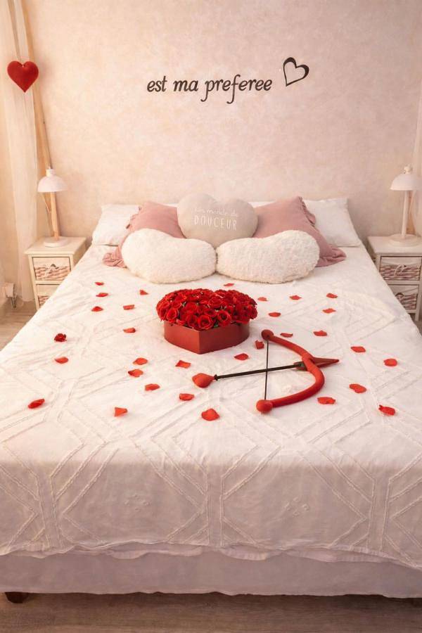 Location de vacances pour 4 personnes, avec vue et terrasse, animaux acceptés à Saint-Michel-l'Observatoire