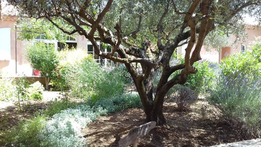 Location de vacances pour 2 personnes, avec jardin et jacuzzi ainsi que sauna et piscine à Les Salles-sur-Verdon - 4