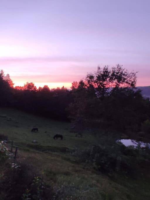 Location de vacances pour 6 personnes, avec vue et jardin à Le Thillot - 2