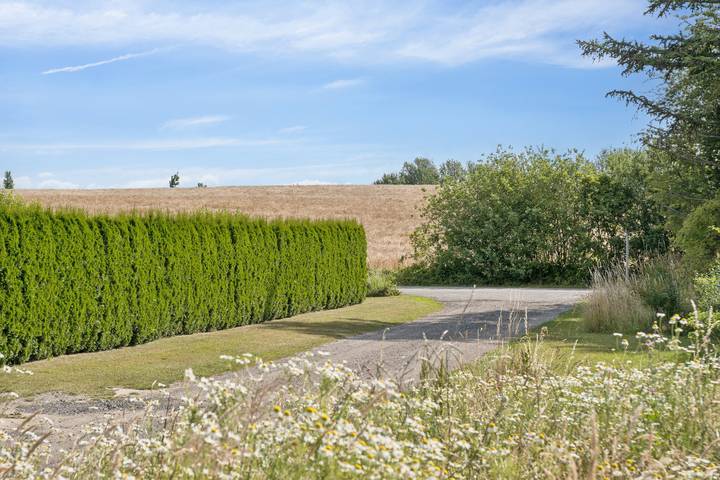 Ferienhaus für 4 Personen, mit Terrasse und Garten in Lolland - 3