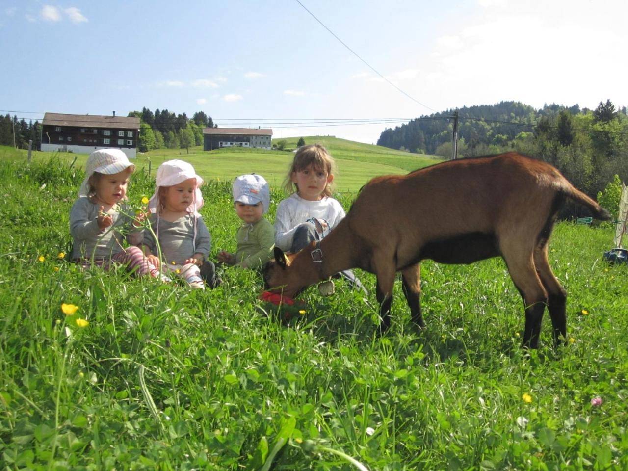 Ganze Wohnung, Bauernhof Bilgeri in Hittisau, Bodensee-Vorarlberg