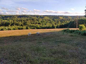 Ferienhaus für 6 Personen in Silkeborg, Bild 3