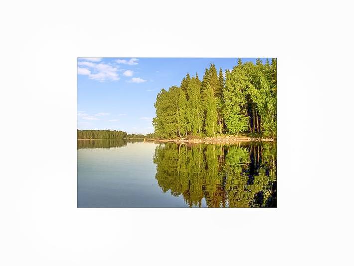 Varpu in Iso-Roine, Eigentliche Häme