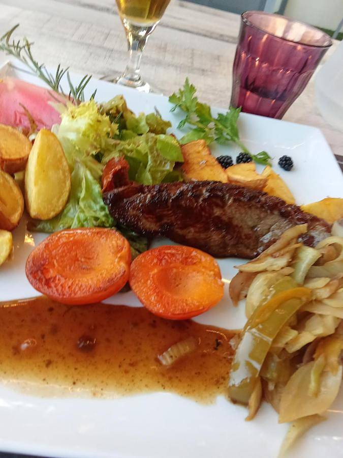 Location de vacances pour 4 personnes, avec vue sur le lac ainsi que piscine et jardin à Villegusien-le-Lac - 3