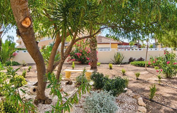 Ferienwohnung für 3 Personen, mit Terrasse in Torrevieja - 2