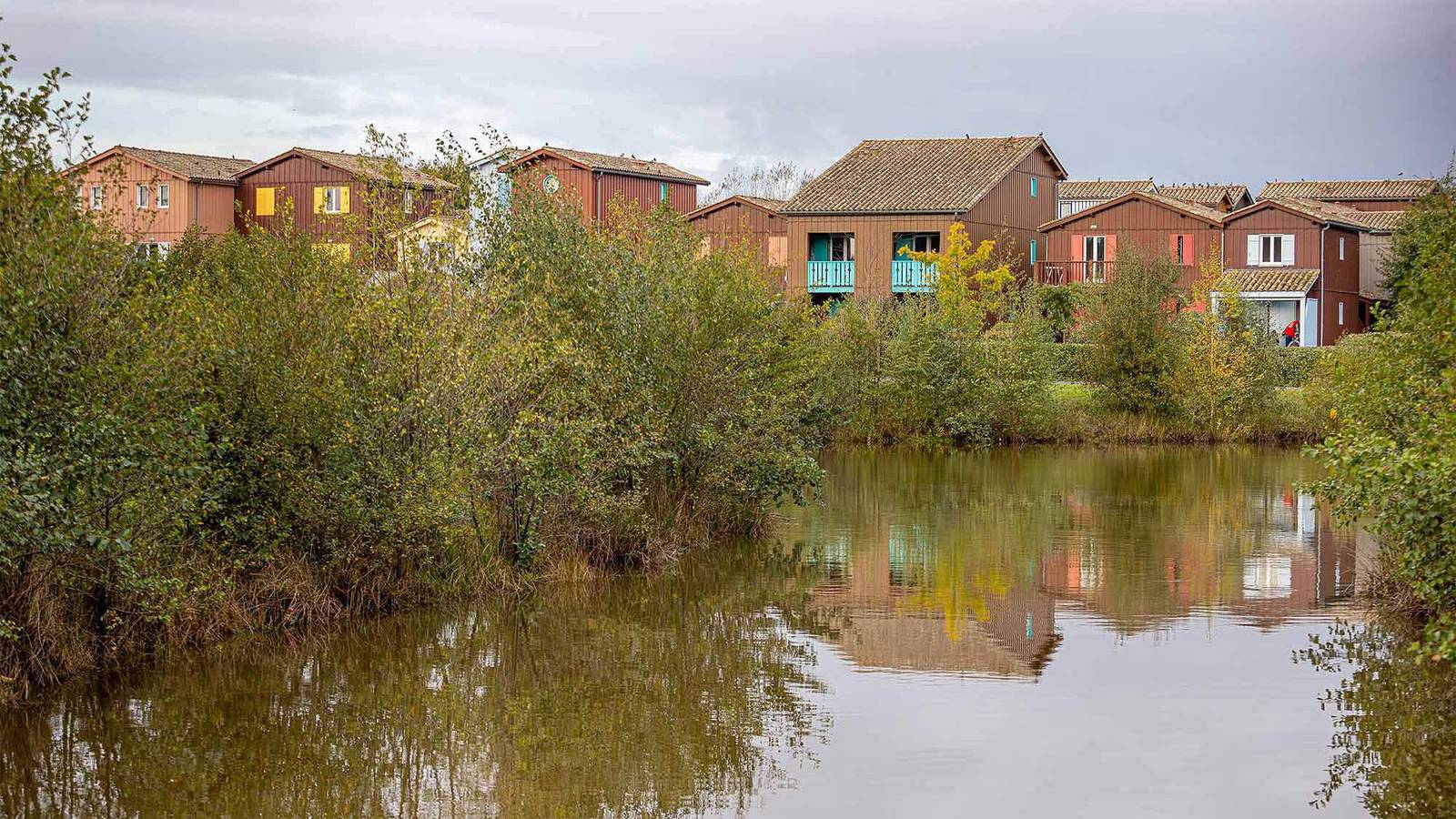 Ganze Wohnung, Les Rives Marines  3p6p in Le Teich, Arcachon und Umgebung