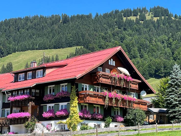 Ganze Ferienwohnung, Ferienwohnung 6 - Wohn-Schlafraum mit Balkon in Balderschwang, Bayerisch Schwaben