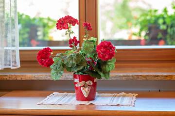 Vakantiewoning voor 3 Personen in Canazei, Langkofel Groep, Afbeelding 4