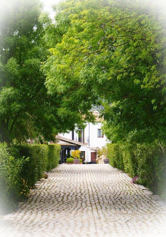 Hotel para 2 personas, con jardín además de piscina y sauna en Provincia de Málaga - 3