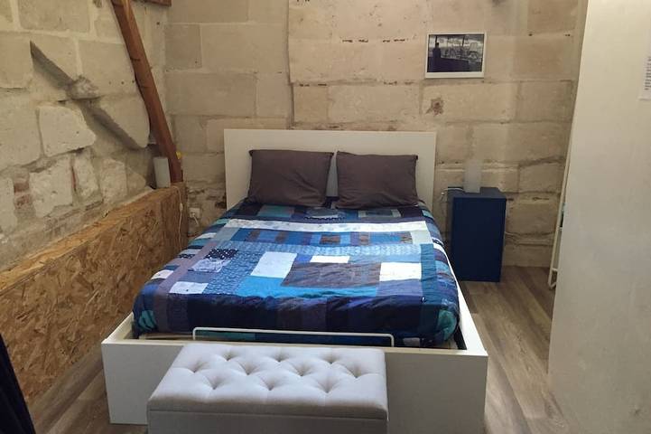 Appartement entier, Loft Classé 60 m2 plein sud Face aux Halles in Tours, Région de Tours