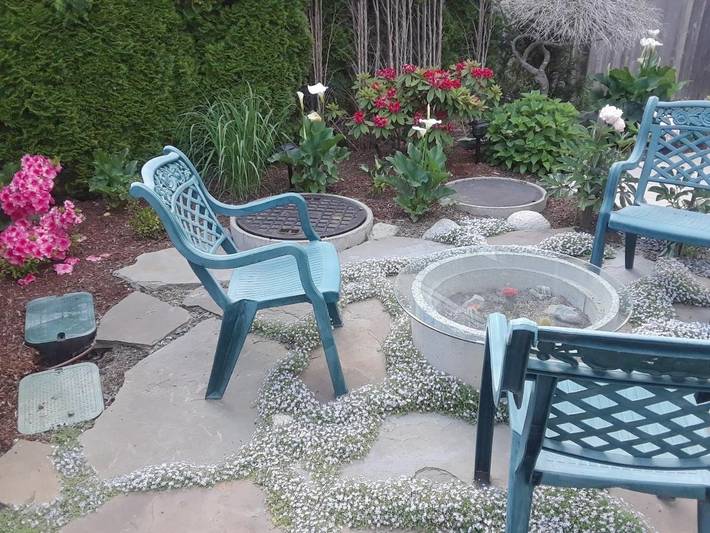 Chambre d’hôte pour 2 personnes, avec jardin à Vancouver - 2