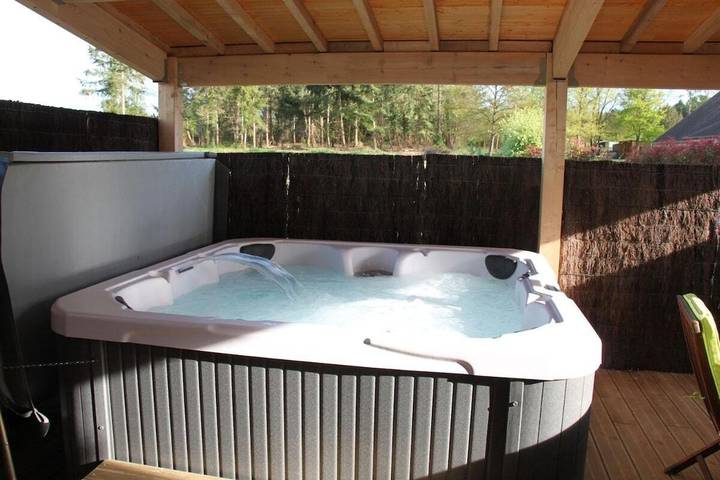 Location de vacances pour 4 personnes, avec jacuzzi et jardin ainsi que piscine et terrasse à Tour-en-Sologne - 3