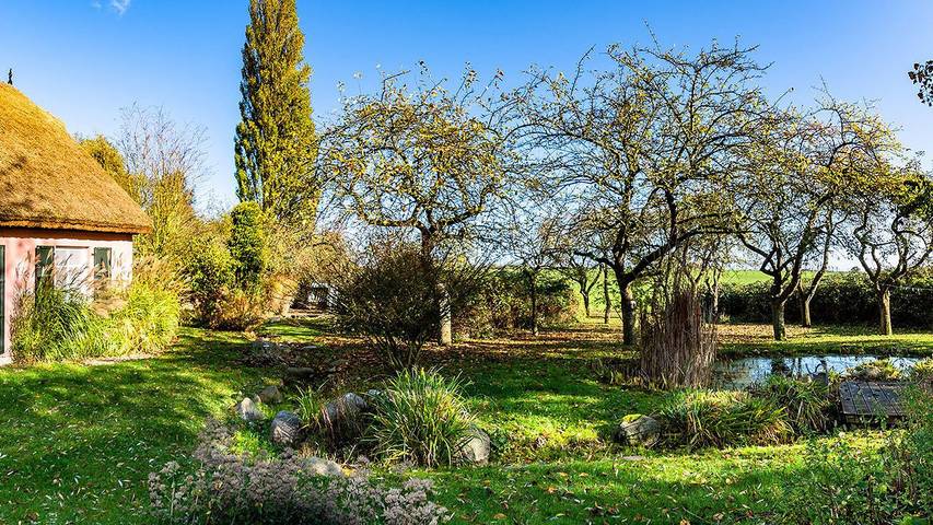 Ferienwohnung für 3 Personen, mit Garten, mit Haustier in Poseritz - 4