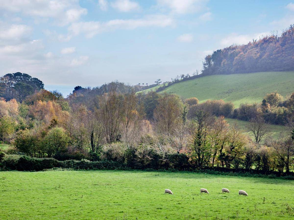 Three-Bedroom Holiday Home in Branscombe, Jurassic Coast