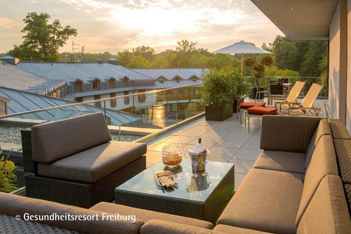 Hotel für 10 Personen, mit Sauna und Garten in Freiburg - 4