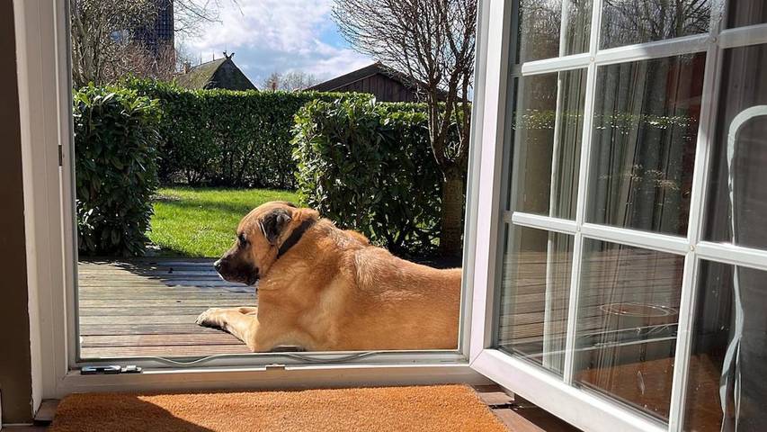 Ferienhaus für 10 Personen, mit Garten, mit Haustier in Bastorf - 2
