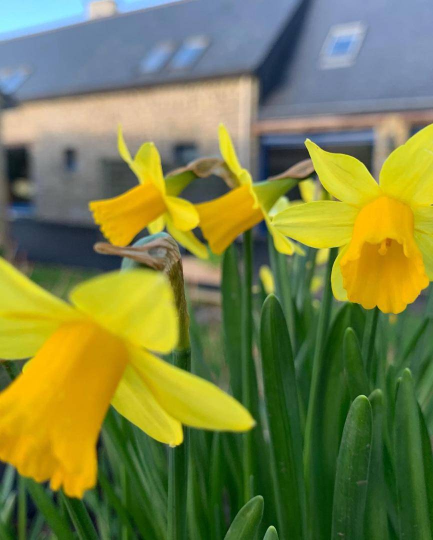 Petite Mer de Gâvres in Merlevenez, Côte des Mégalithes