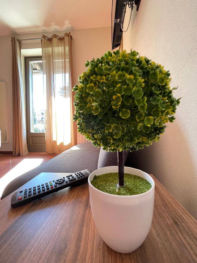 Chambre d’hôte pour 2 personnes, avec vue et jardin, animaux acceptés à La Morra - 4