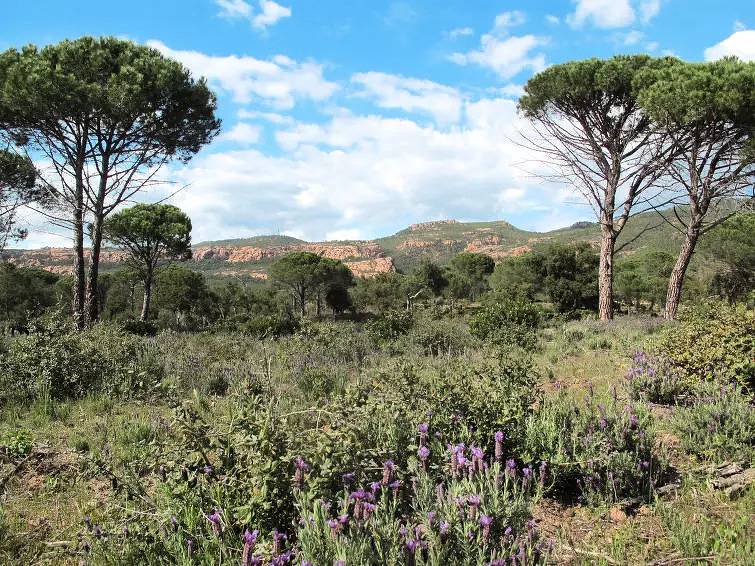 Maison 6 Personnes in Bagnols-en-Forêt, Region de Draguignan