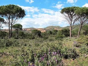 Location de vacances pour 6 personnes, avec terrasse et piscine à Bagnols-en-Forêt