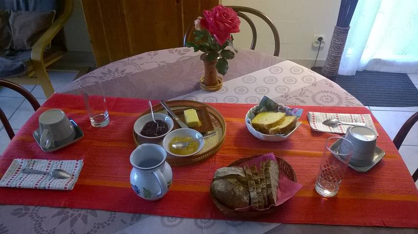 Chambre d’hôte pour 2 personnes, avec jardin dans les Landes - 4