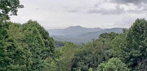 Bed And Breakfasts for 6 Guests in Blue Ridge Mountains, North Carolina, Picture 3
