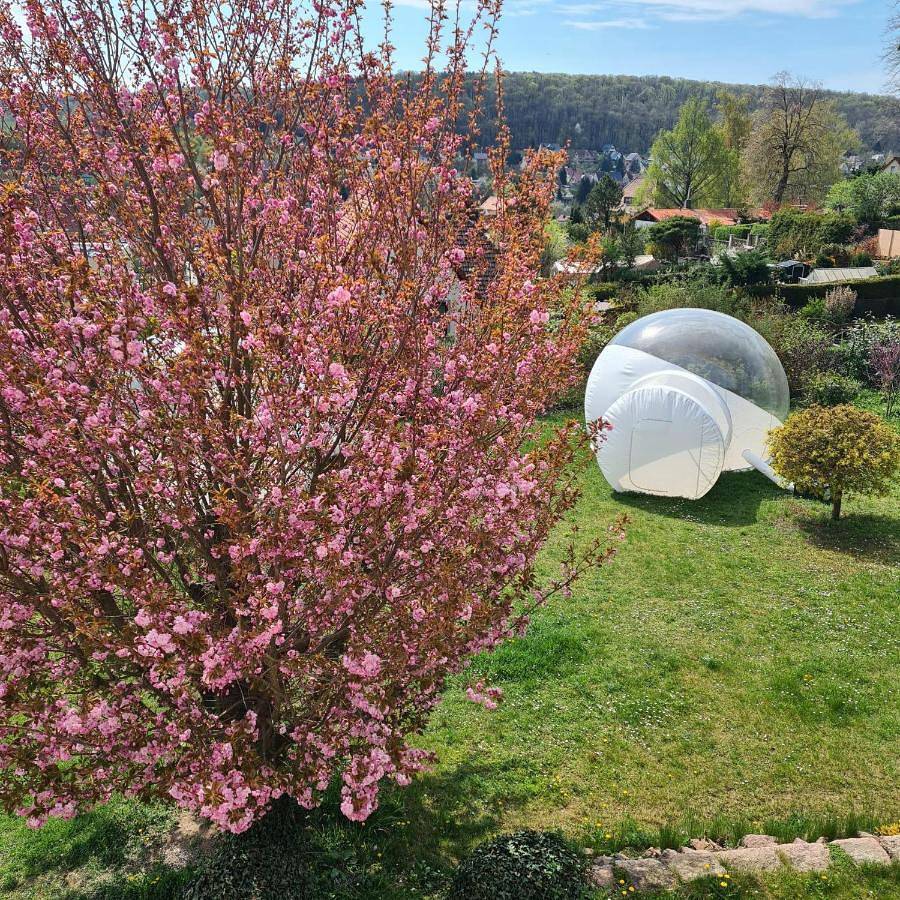 Ganze Wohnung, One-Bedroom Apartment with Garden in Freyburg (Unstrut), Saale-Unstrut