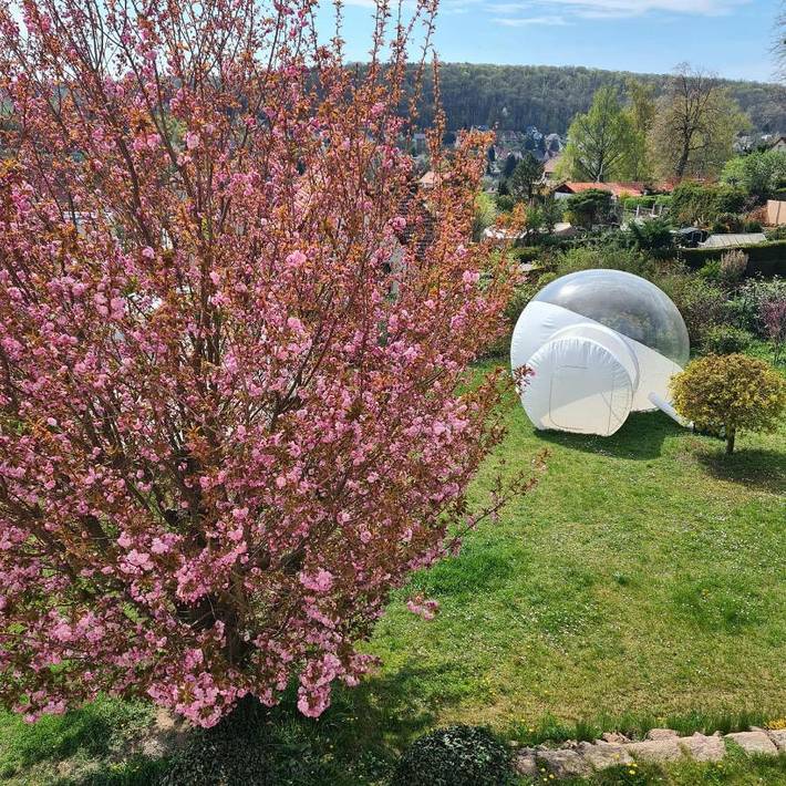 Ferienwohnung für 4 Personen, mit Terrasse und Whirlpool sowie Garten und Pool in Freyburg (Unstrut) - 3