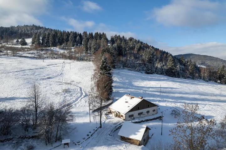 Chalet voor 18 personen, with tuin and uitzicht as well as sauna, met huisdier in de Vogezen