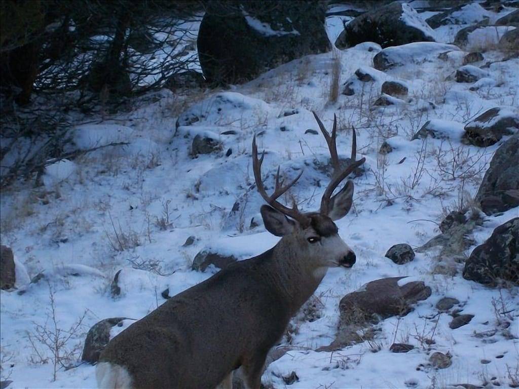 Scheune am Ufer des Yellowstone National Park in Gardiner, Absaroka Range