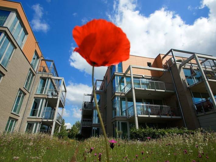 Ferienwohnung für 2 Personen, mit Balkon und Terrasse sowie Garten in Travemünde - 2