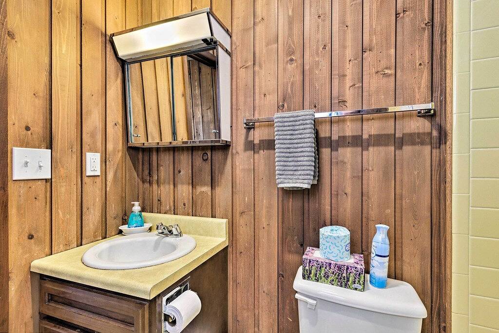 Neu! Gemütliche tierfreundliche Flucht 1Mi nach Beech Mtn Ski in Beech Mountain, Watauga County