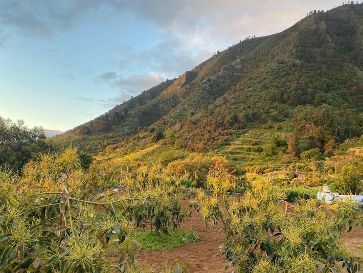 Ferienhaus für 3 Personen, mit Garten in La Orotava