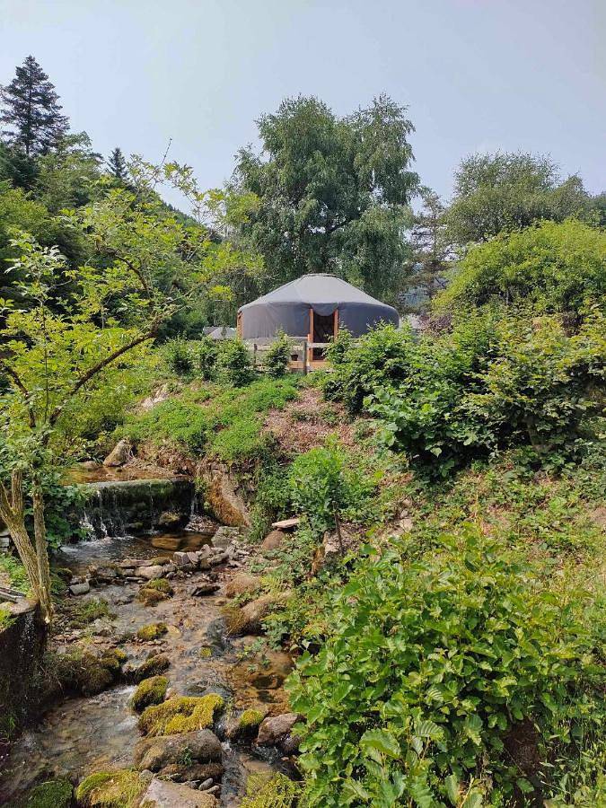 Tent in Fréland, Parc naturel régional des Ballons des Vosges