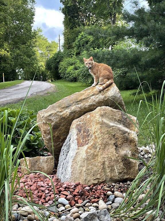 Kajak / Kanu / Mountainbike ~ Panoramablick auf den See ~ Preisermäßigung am nächsten Wochenende! in Hocking County