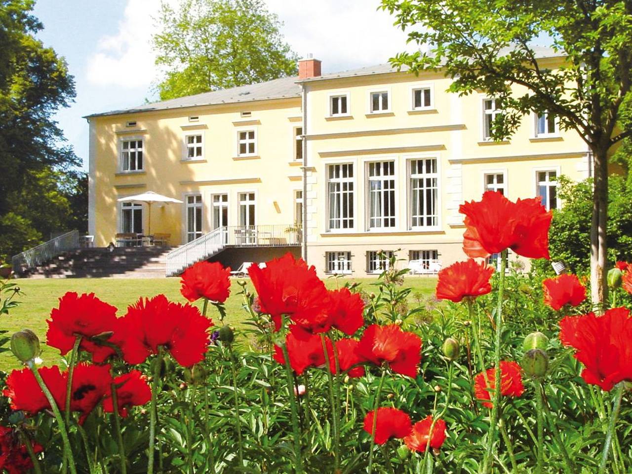 Das Gutshaus - Ferienwohnung - Wohnung 2 - Zwischen Rosen & Rhododendren in Tribsees, Recknitz-Trebeltal