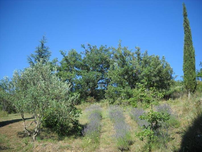 Gîte pour 2 personnes, avec piscine et jardin, animaux acceptés à Roquetaillade - 2