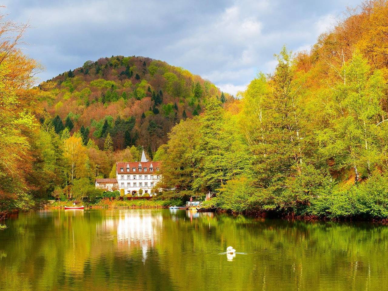 Hotel Pfälzer Wald - Einzelzimmer Basic in Bad Bergzabern, Südliche Weinstraße